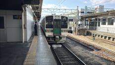 74195.jpg