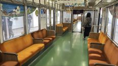 74206-2.jpg