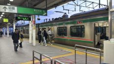 74210.jpg