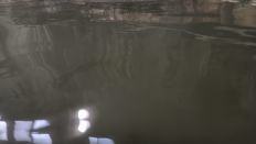 74237-4.jpg