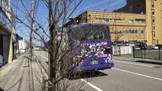 74406.jpg