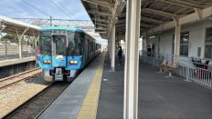 74411.jpg