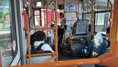 74412-3.jpg