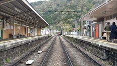 74601-1.jpg