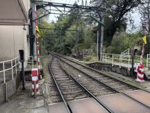74602.jpg