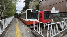 74604-2.jpg