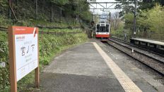 74605.jpg