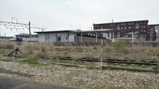 74655-1.jpg