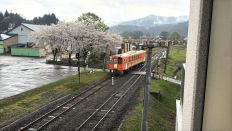 74666-2.jpg