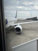 74727-2.jpg