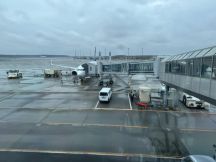 74729-1.jpg