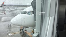 74729.jpg