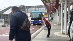 74731.jpg