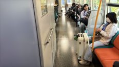 74781-1.jpg