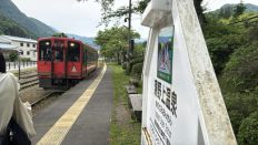 75220-2.jpg