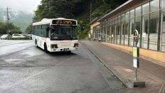75254.jpg