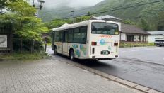 75255.jpg