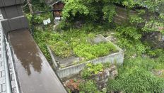 75256-4.jpg