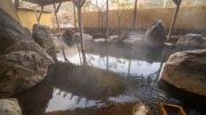 75272-1.jpg