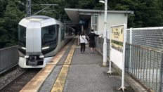 75297-2.jpg