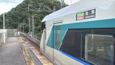75297-3.jpg