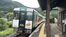 75361-1.jpg