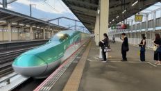 75363-1.jpg